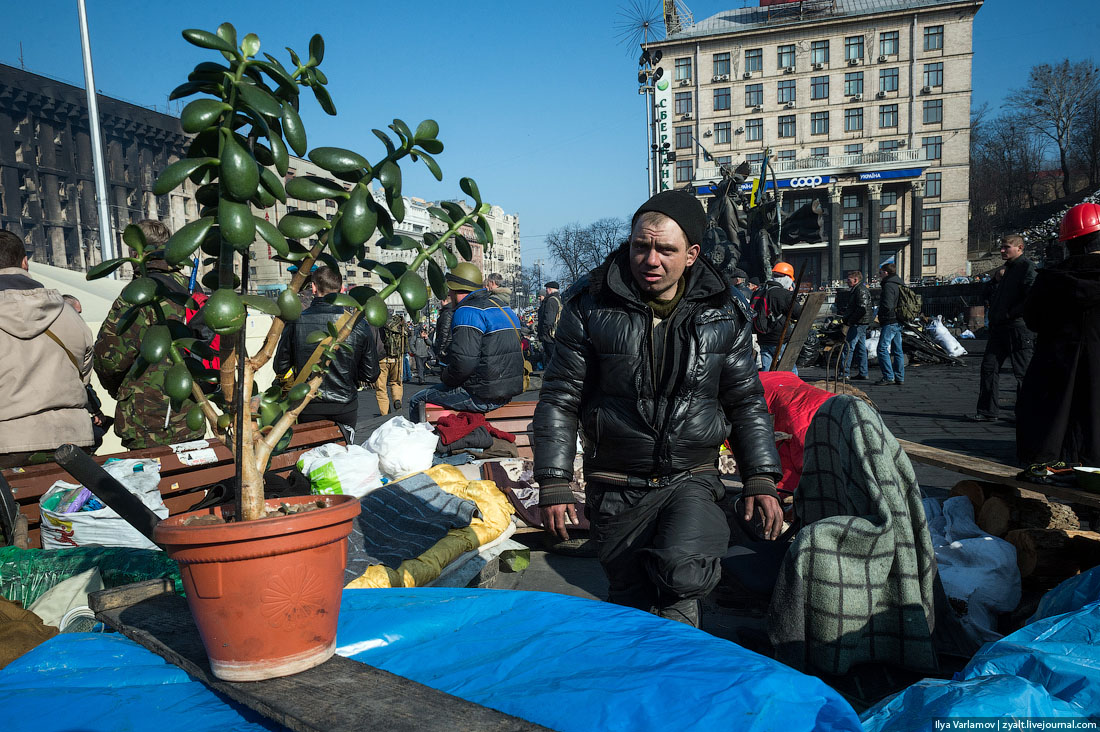 Детали Майдана 