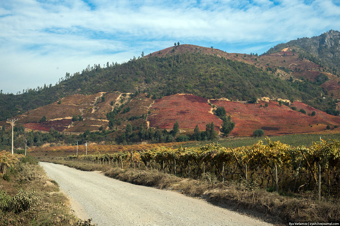 Дорога на юг: вино, горы, Чили 