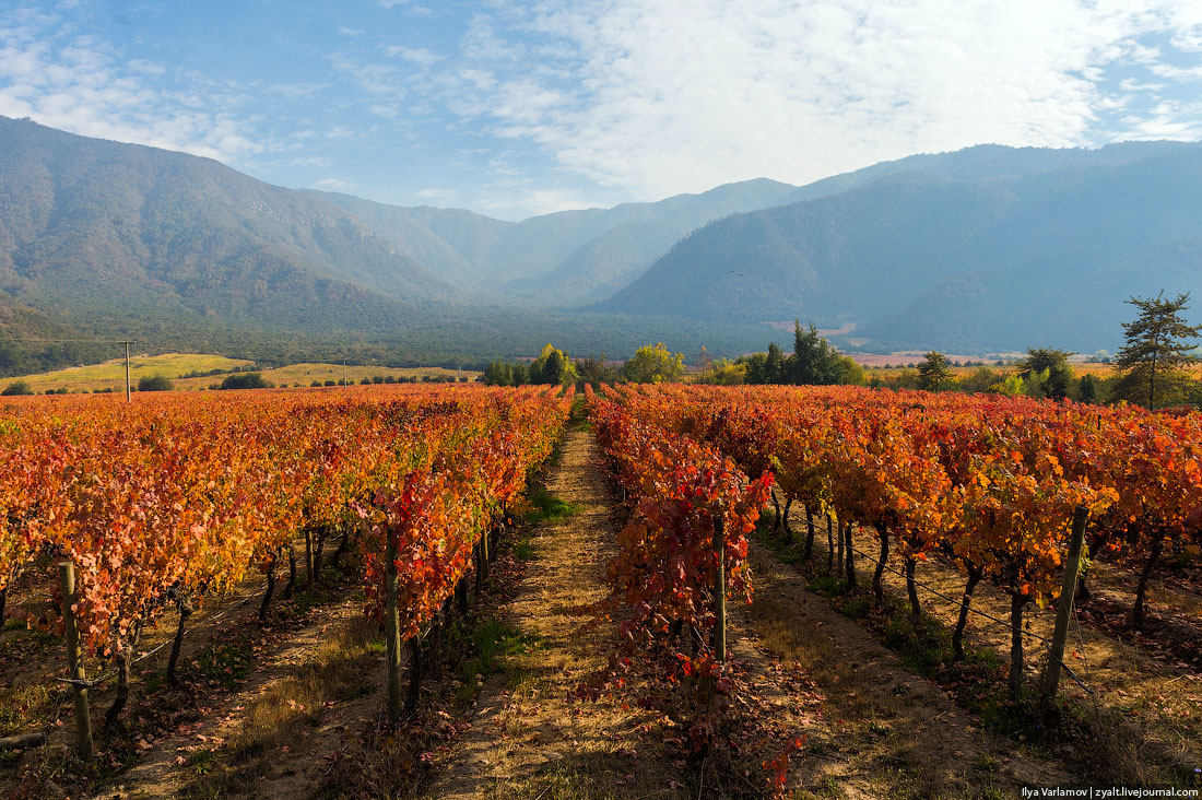 Дорога на юг: вино, горы, Чили 