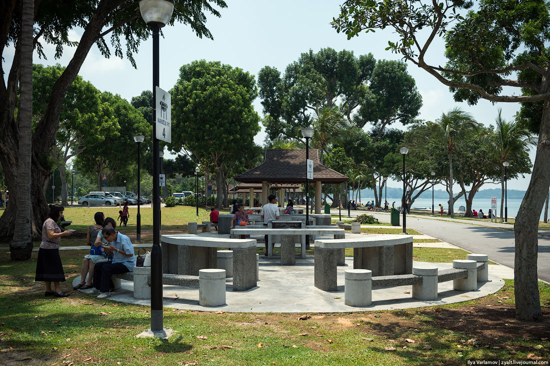  Как правильно устроить пикник в Сингапуре 