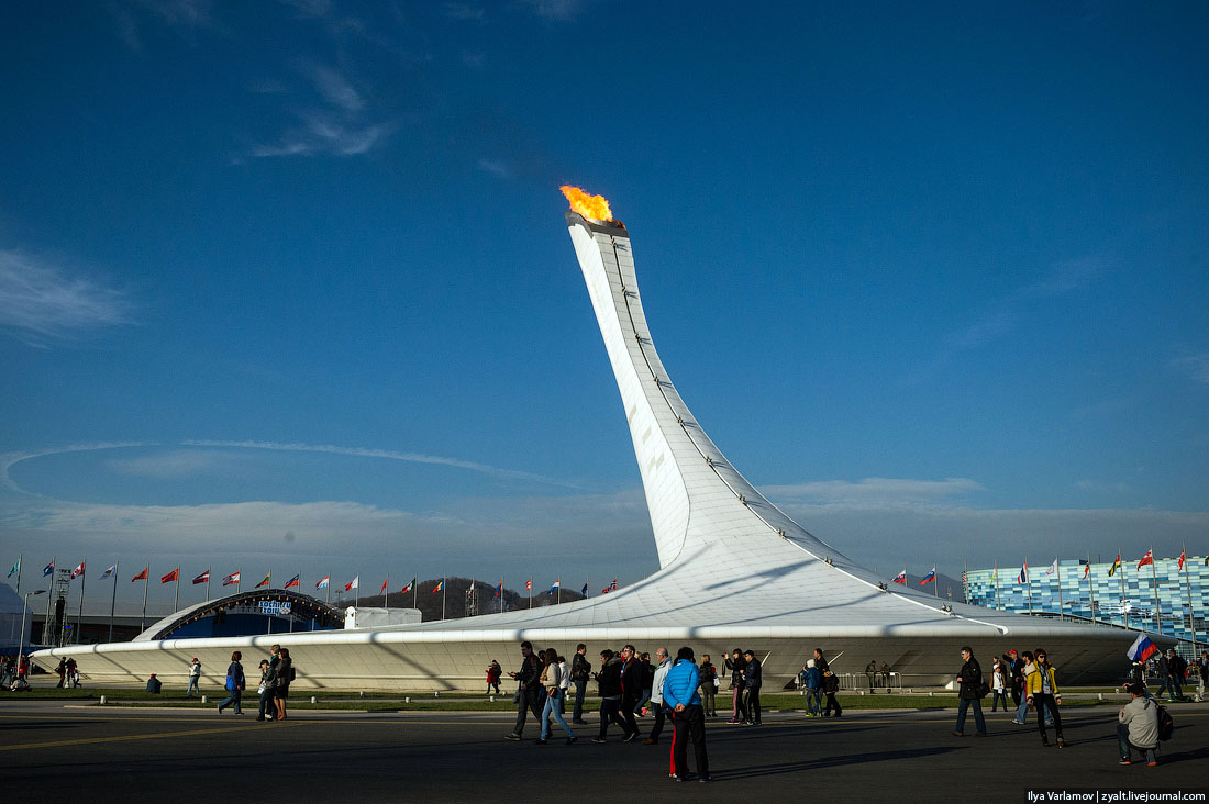 Олимпиада в Сочи 