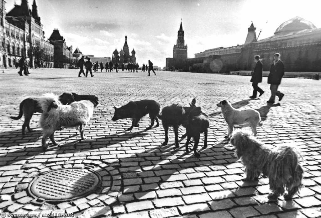 Прогулка по Москве 1942 года 