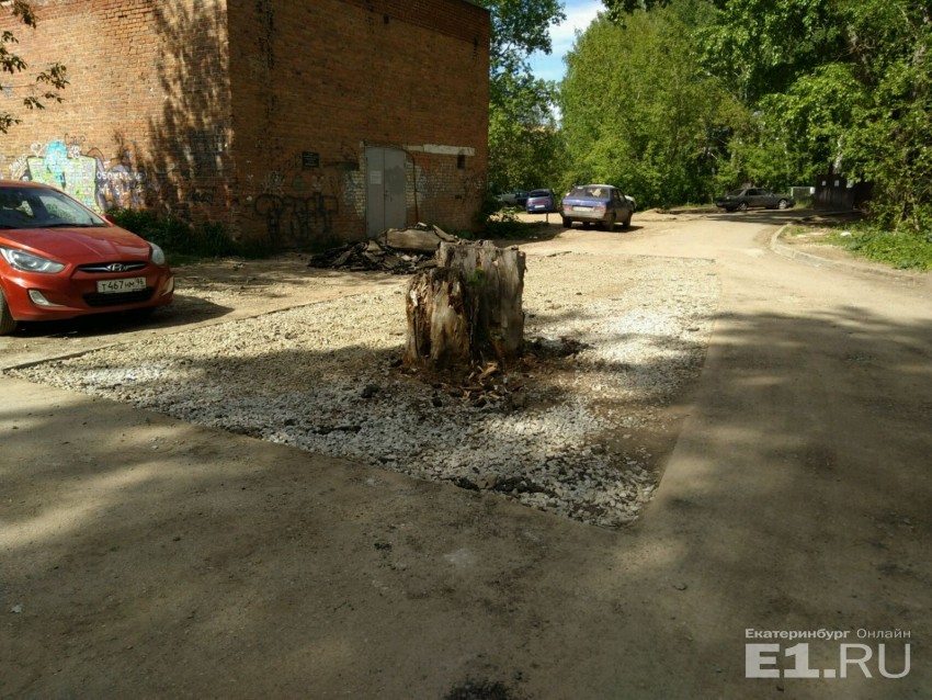 В Екатеринбурге заасфальтировали старый пень посреди дороги