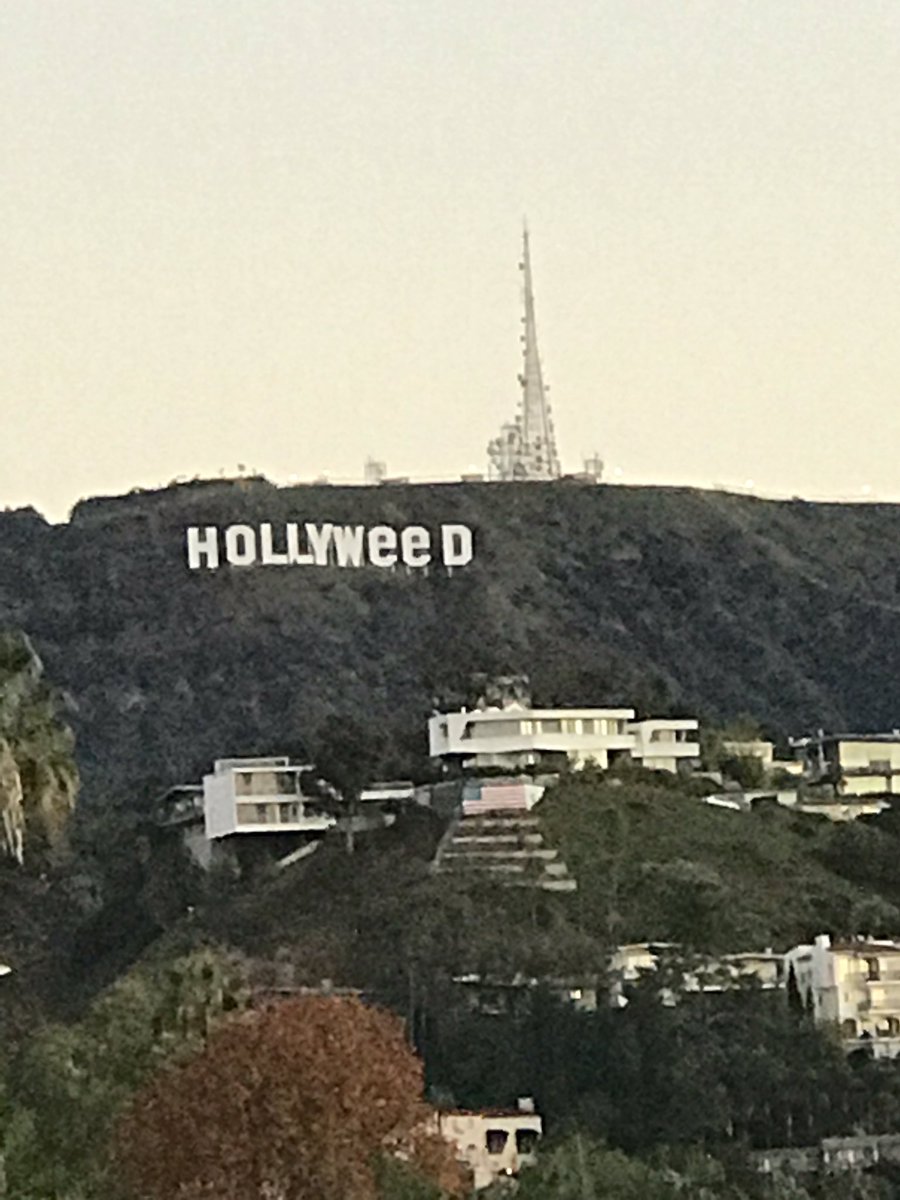 Знаменитую надпись Hollywood превратили в Hollyweed