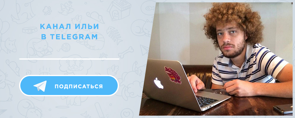 Павел Дуров согласился зарегистрировать Telegram в России