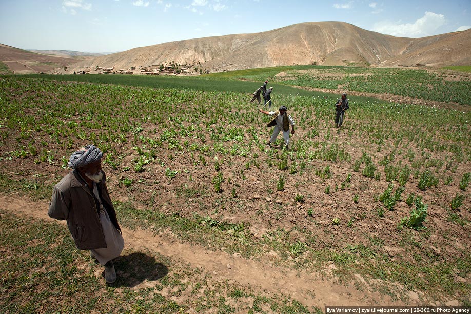 Афганистан, путевые заметки, день 6