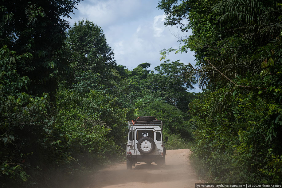 Дорога в Камерун