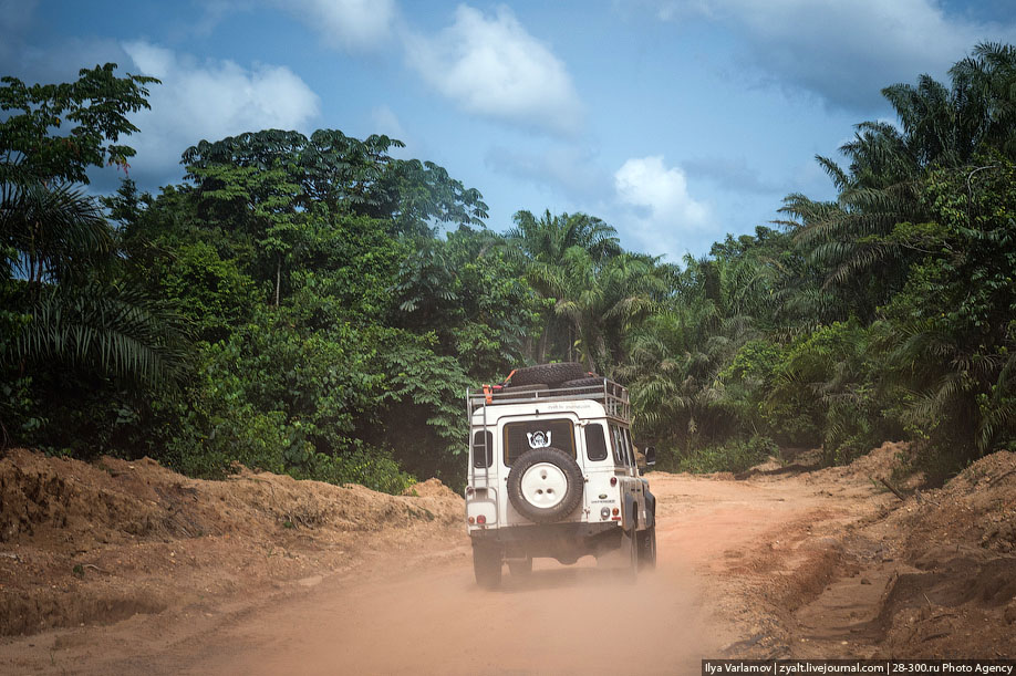 Дорога в Камерун