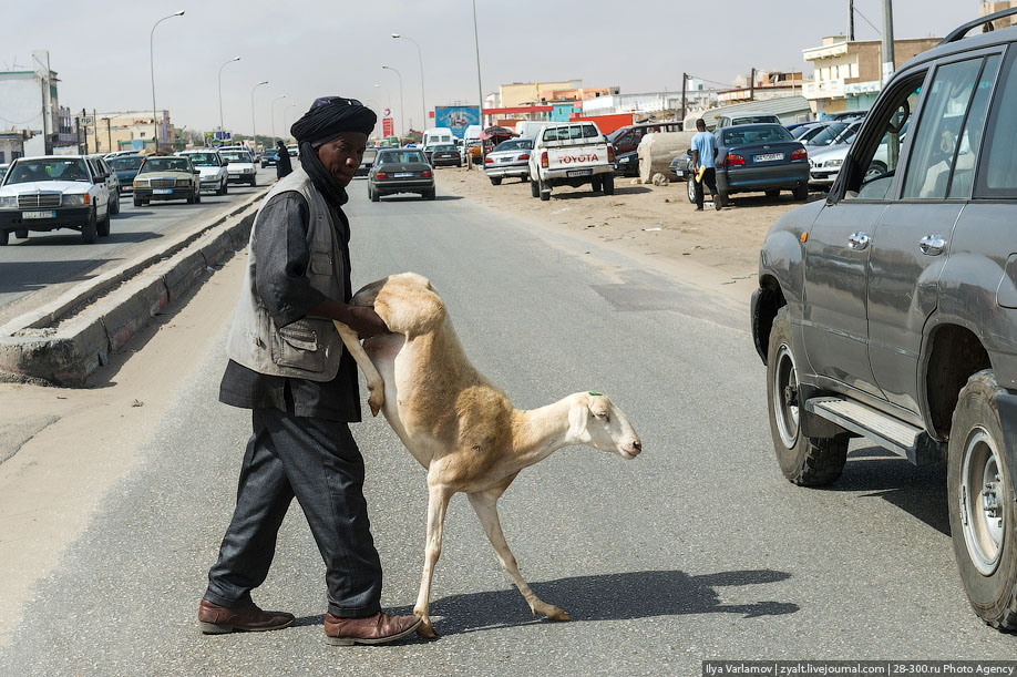 Долгая дорога в Сенегал
