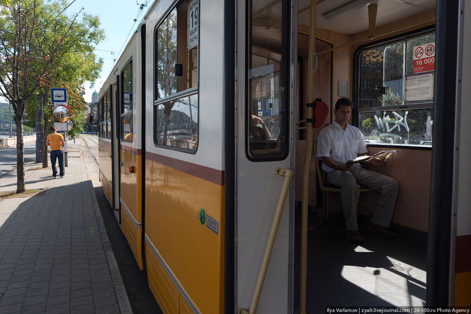 Трамвай в Будапеште