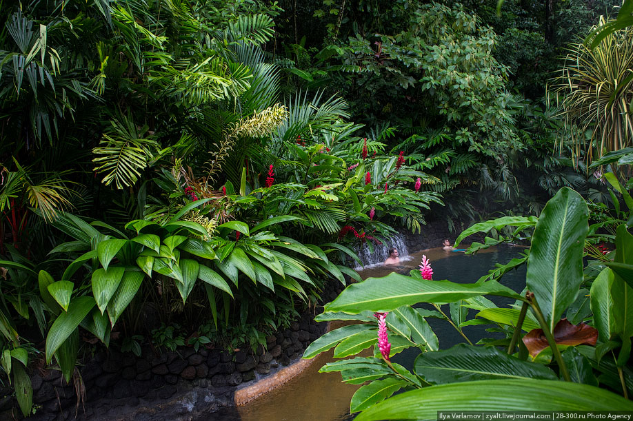 Национальный парк Аренал, Коста-Рика