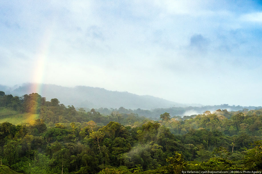 Национальный парк Аренал, Коста-Рика