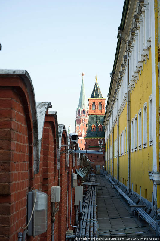 Прогулка по Кремлю.