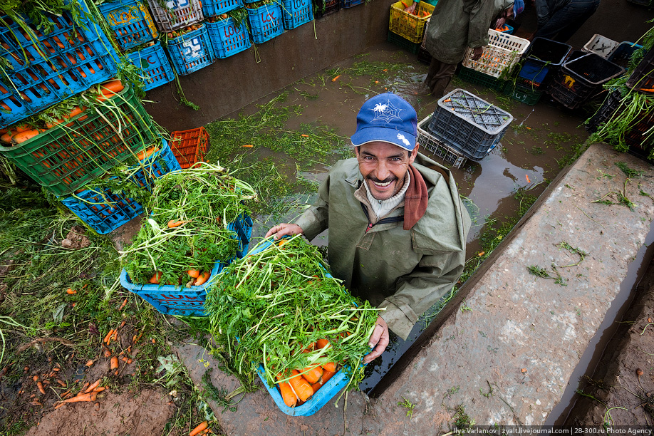 Как в Марокко овощи убирали. 