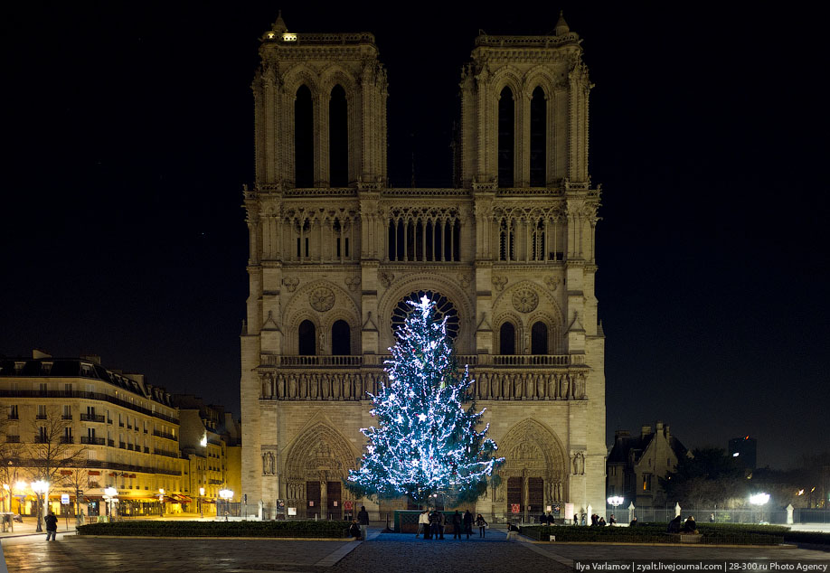 Рождественская ель в Париже