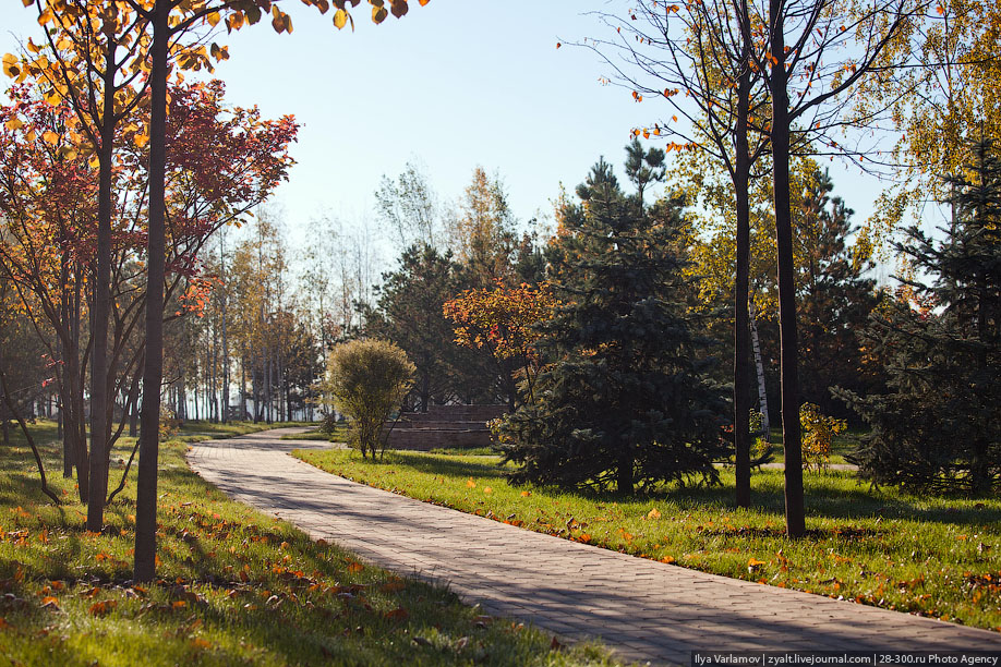 Millennium Park 