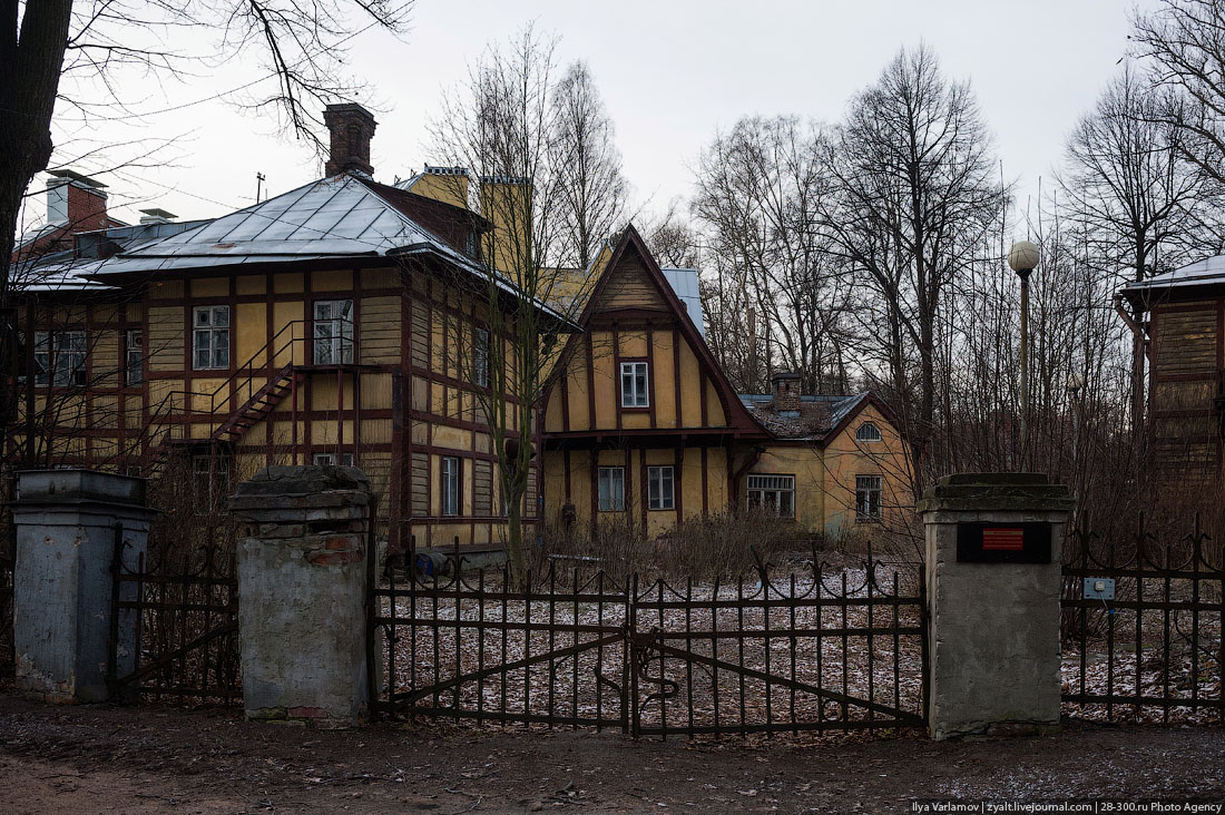  Санкт-Петербург вчера 