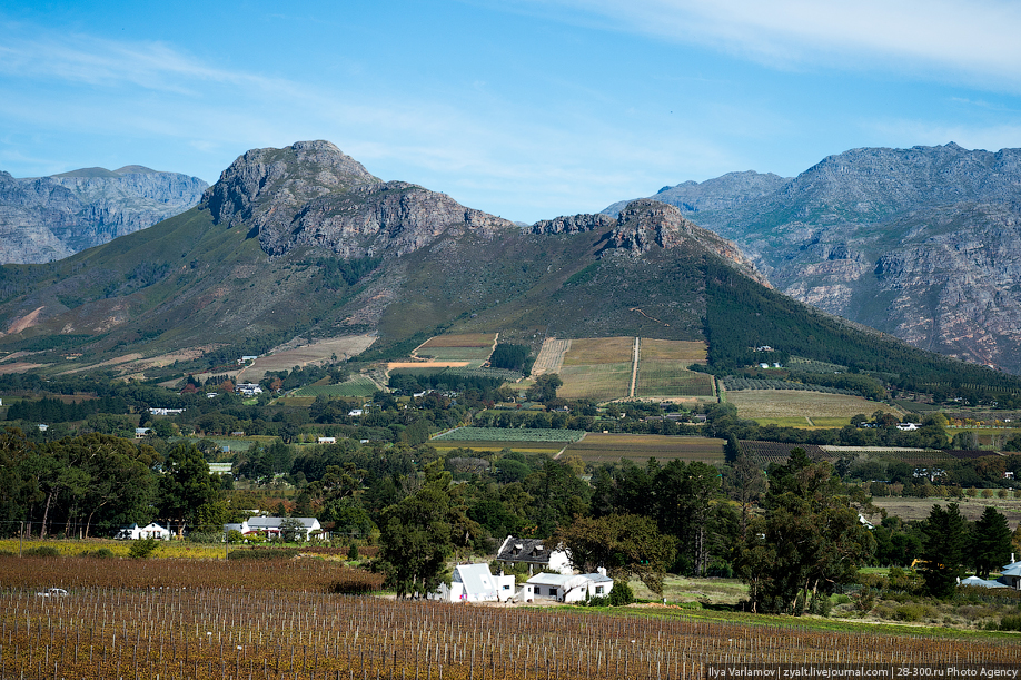 Винодельческие фермы вокруг Кейптауна