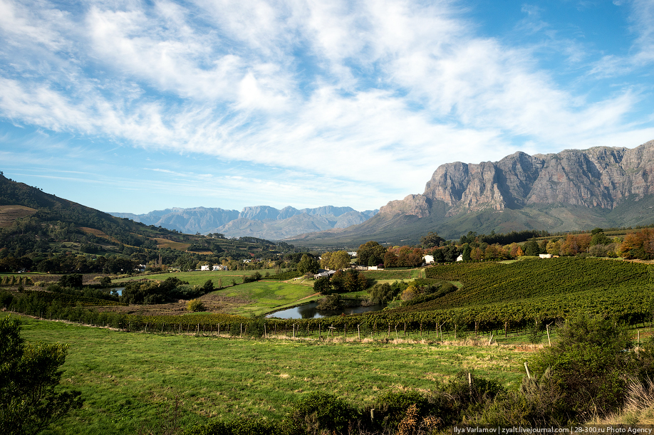 Винодельческие фермы вокруг Кейптауна
