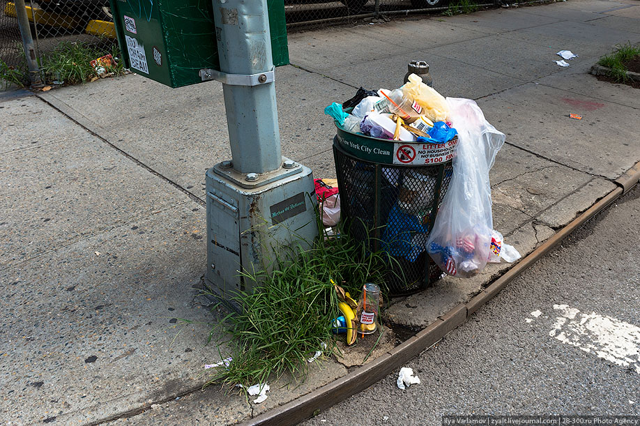 Нью-Йорк провонял запахом мочи после отмены арестов за оправление нужды в общественных местах 10