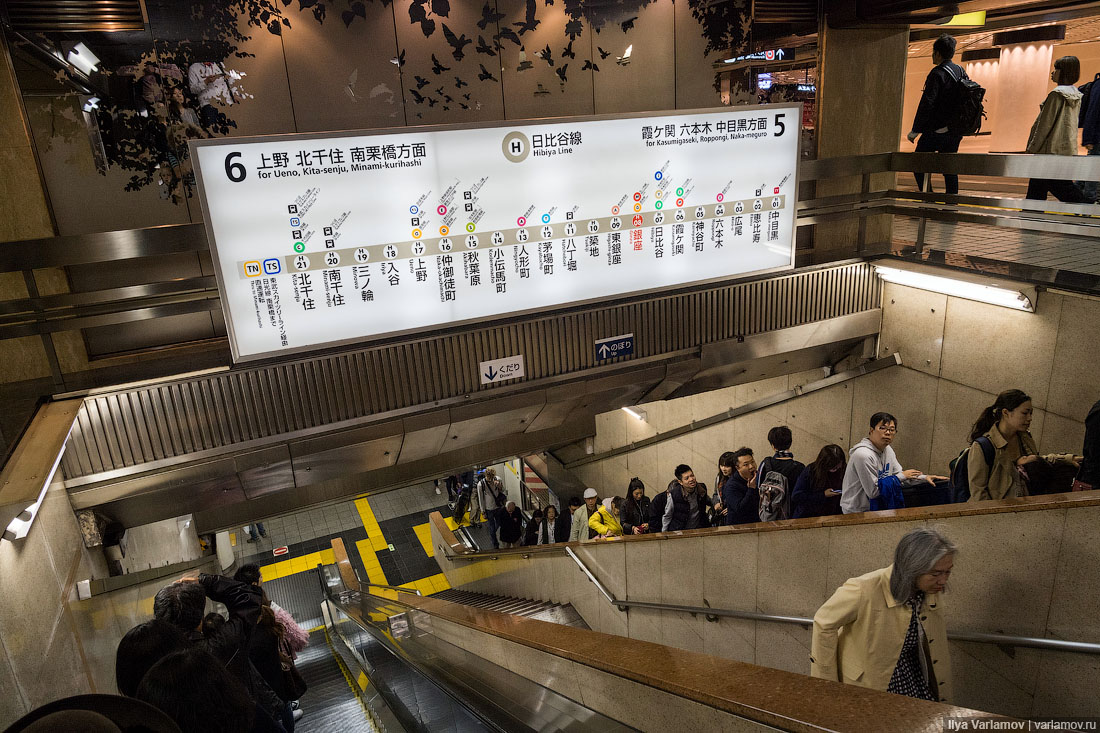 Интересные особенности токийского метро метро, станции, очень, поезда, можно, каждой, вагонов, будет, линии, японцы, станциях, пассажиров, линий, метрополитен, может, удобно, могут, чтобы, просто, Метро