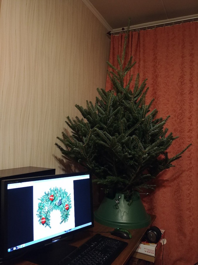 Успейте купить елку. Отзывы довольных клиентов Варламова, пушистая, получилось, такая, покупайте, будет, Учитывая, новогоднему, этого, пихта, живую, первый, Варламову, дерево, красивее, новогоднее, купил, заказал, Новый, почему