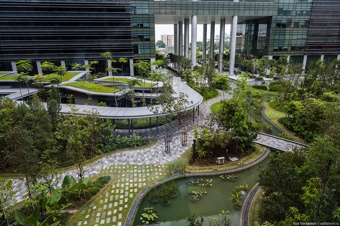 Офис Google в Сингапуре: хотели бы здесь работать? - Варламо