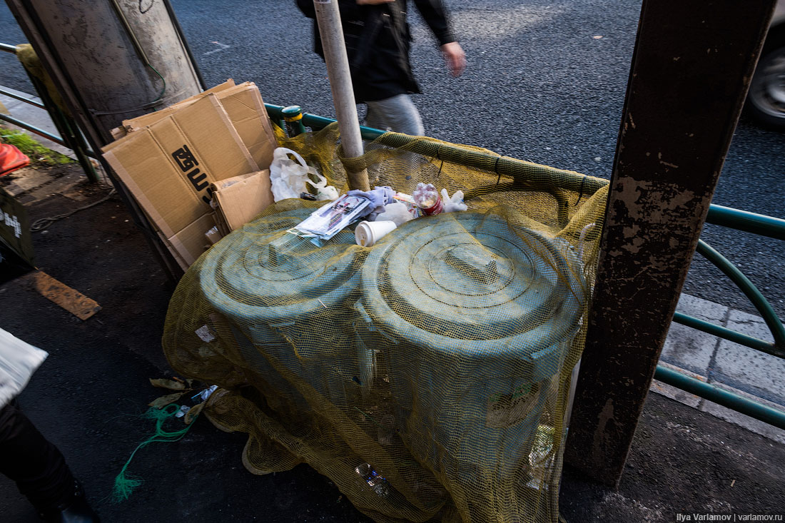 Токио: традиции, мусор, автопонты и афганский ковёр 