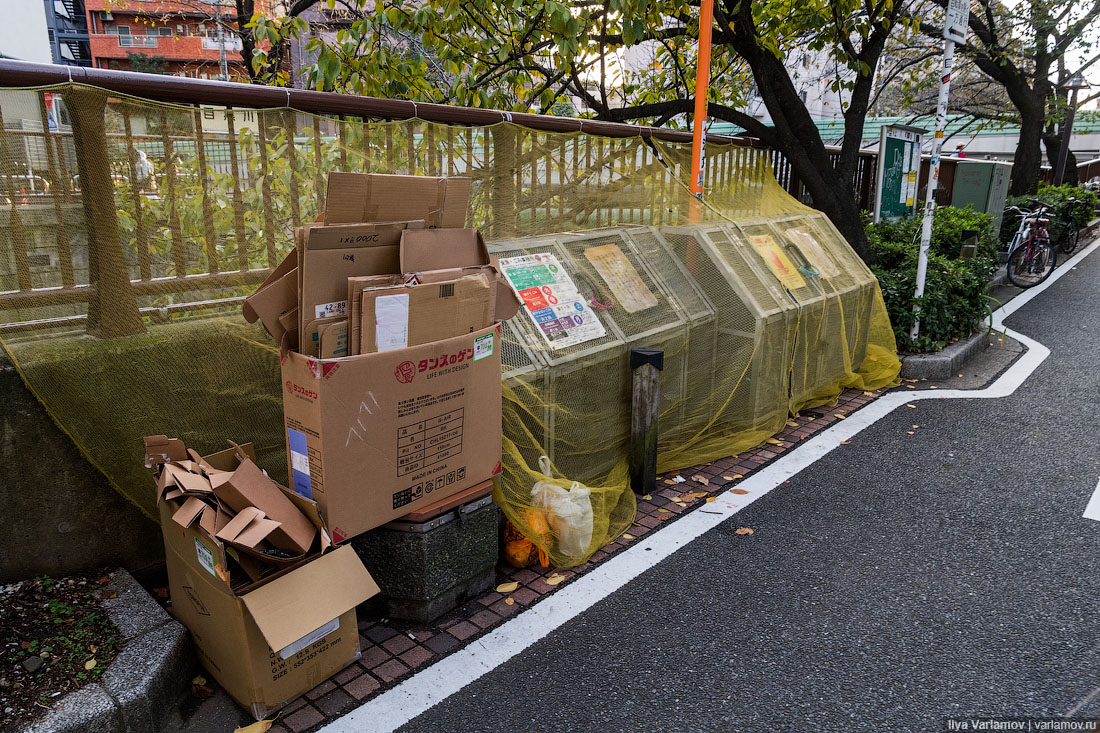 Токио: традиции, мусор, автопонты и афганский ковёр 