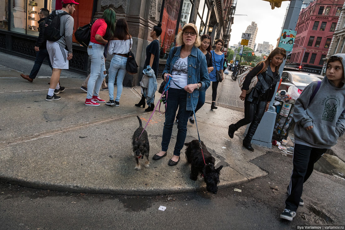 Нью-Йорк: содомиты, Кац и дорожники на Порше 