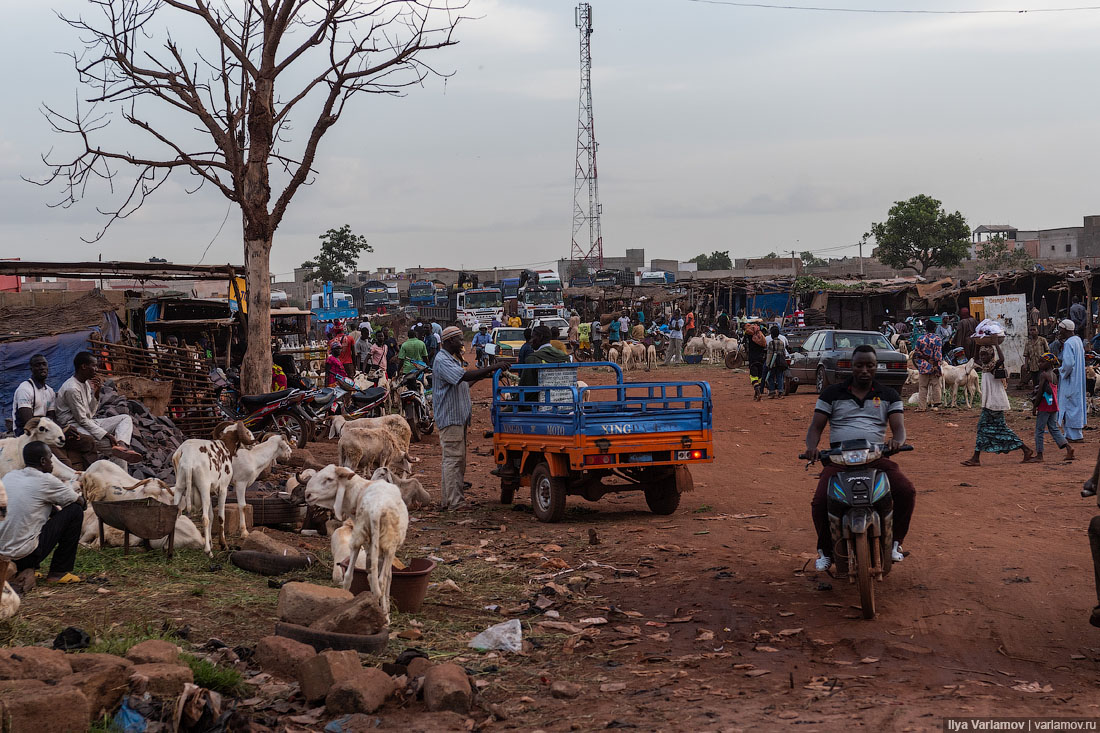 Три беды в Мали: колдуны, шлюхи и дороги 