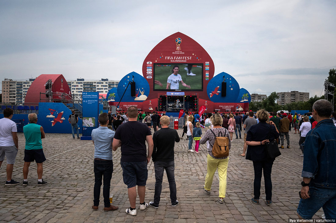 Большой футбол в Калининграде: всё очень круто 