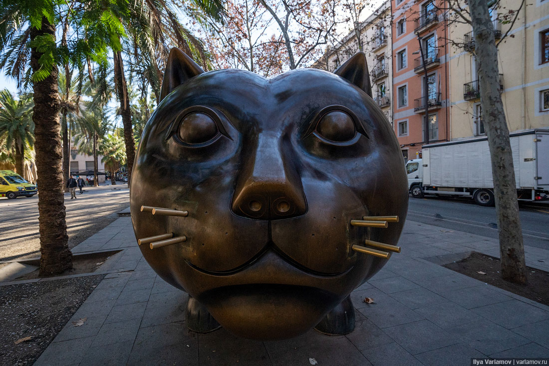 Испания: вокзалы, АЗС-киоски, антикарманы и самый жирный кот 