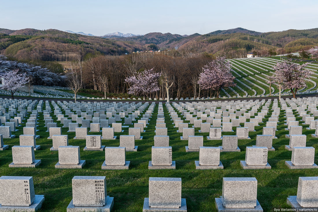 Саппоро: лучшие кладбища в мире Саппоро, Японии, просто, которые, вывески, здания, реклама, города, можно, называется, Будда, зимой, работают, Например, почти, Будды, чтобы, многих, самом, только