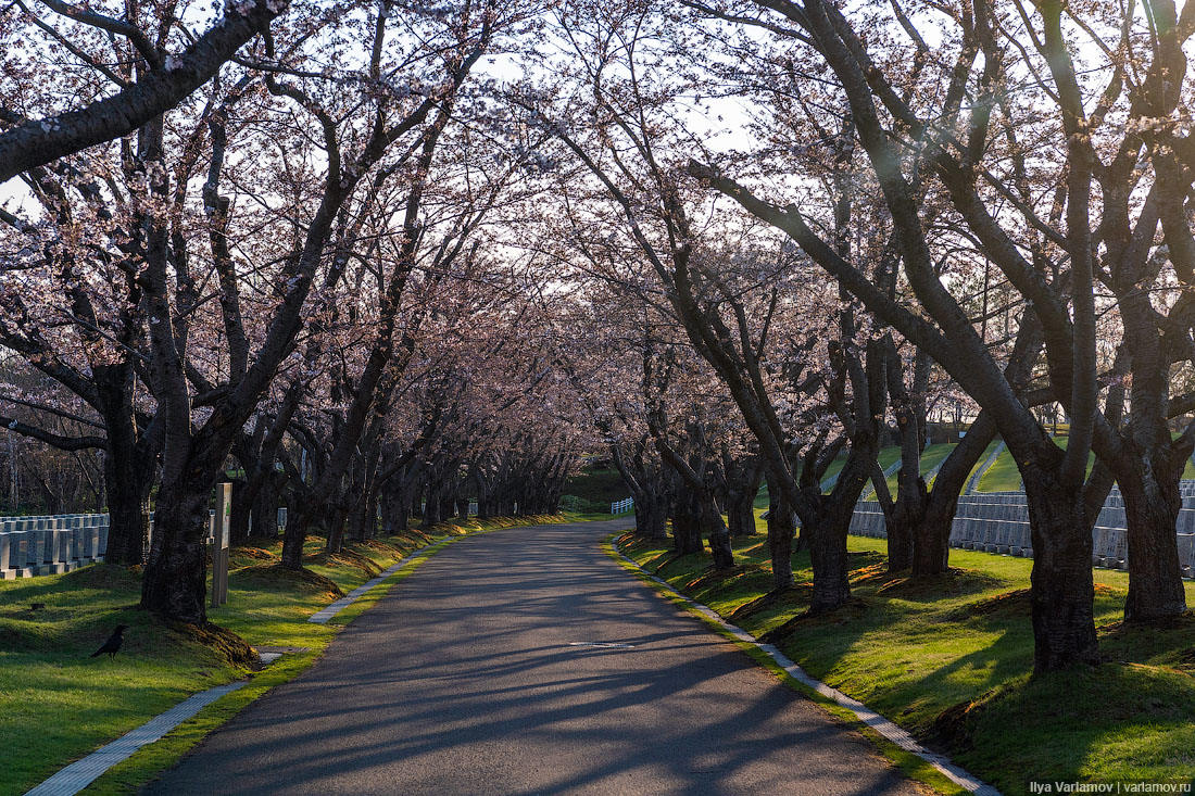 Саппоро: лучшие кладбища в мире 
