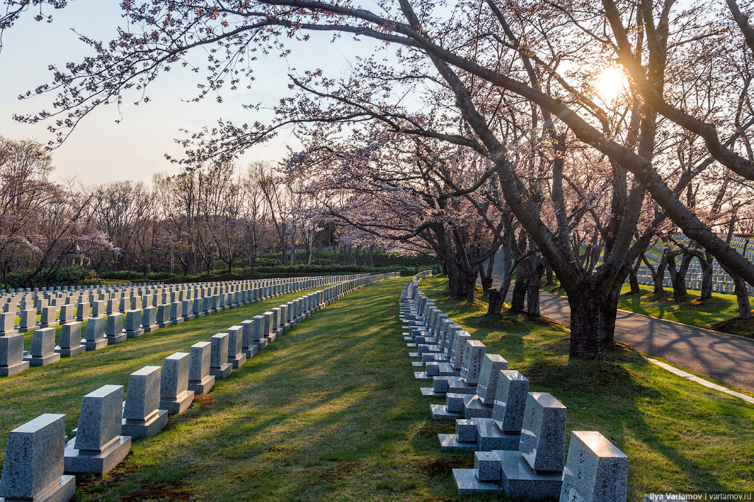 Саппоро: лучшие кладбища в мире 