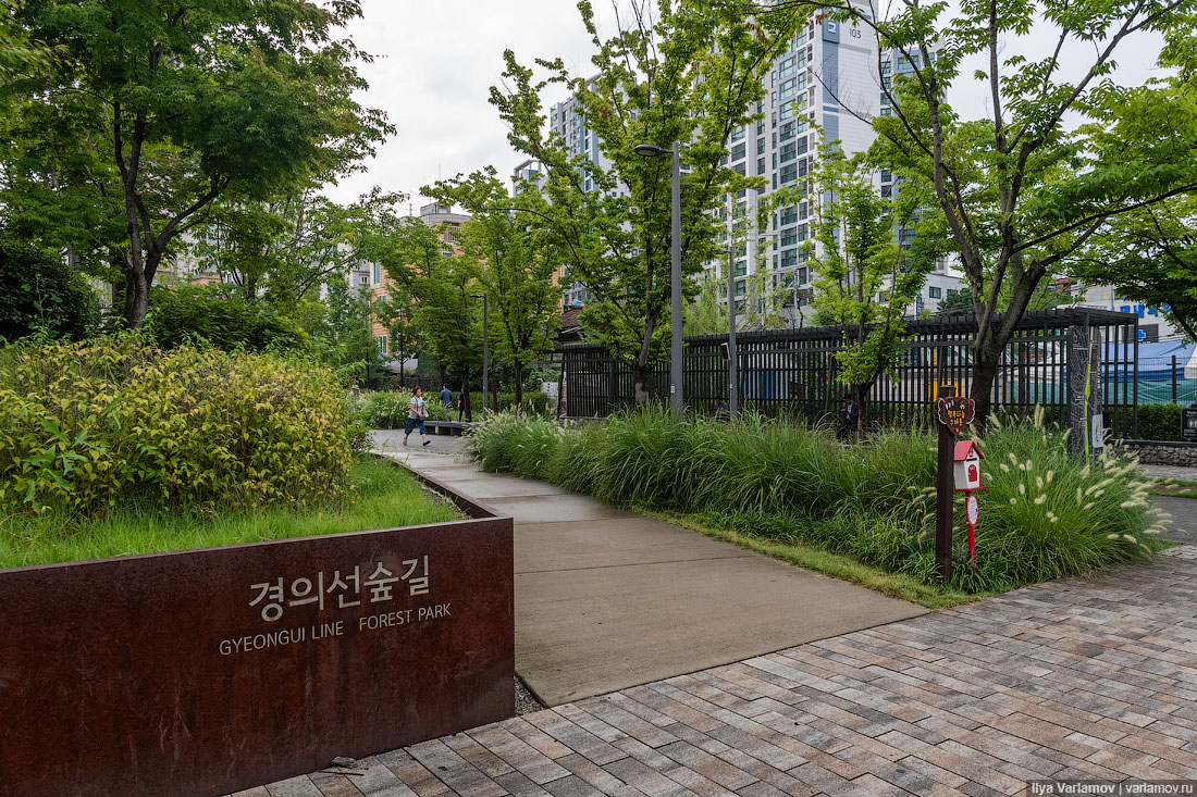 Сеул: парк на месте железной дороги парка, центре, города, можно, между, здесь, дорогой, железной, сеульском, дорожек, вокзал, город, несколько, через, добираться, удобно, будет, чтобы, оказывается, контур