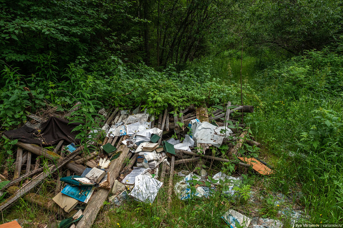 Русский лес опять засрали... мусор, просто, Свердловской, области, выбрасывать, прямо, только, будет, мусора, который, России, Зеландии, Новой, старые, Отсутствие, отходы, территории, свалку, можно, природу