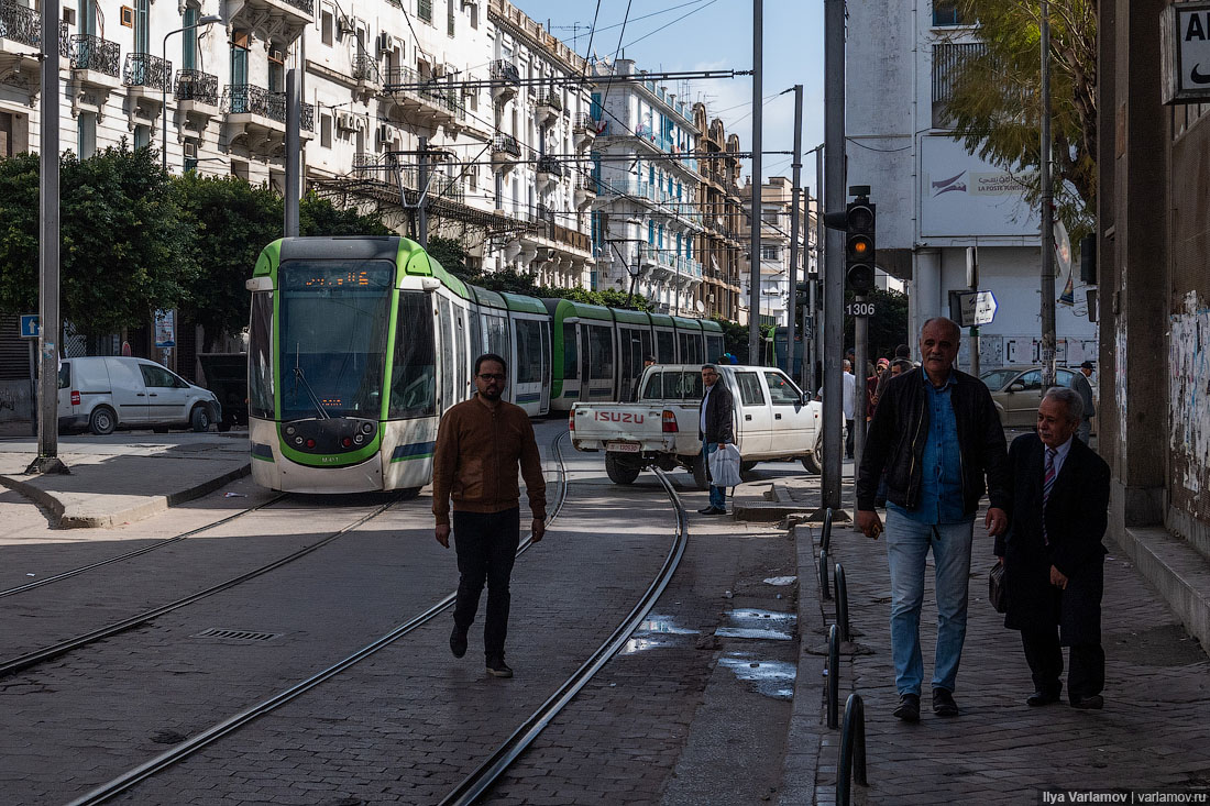 Тунис: море, трамваи, ковры 