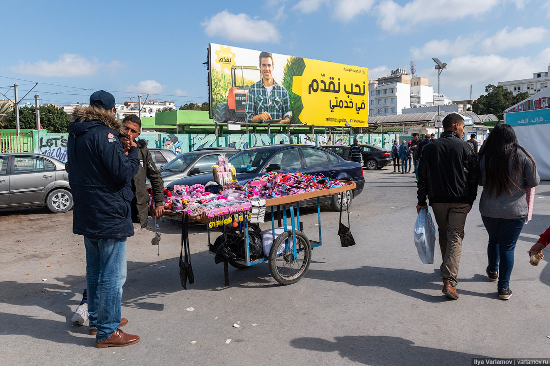 Тунис: море, трамваи, ковры 