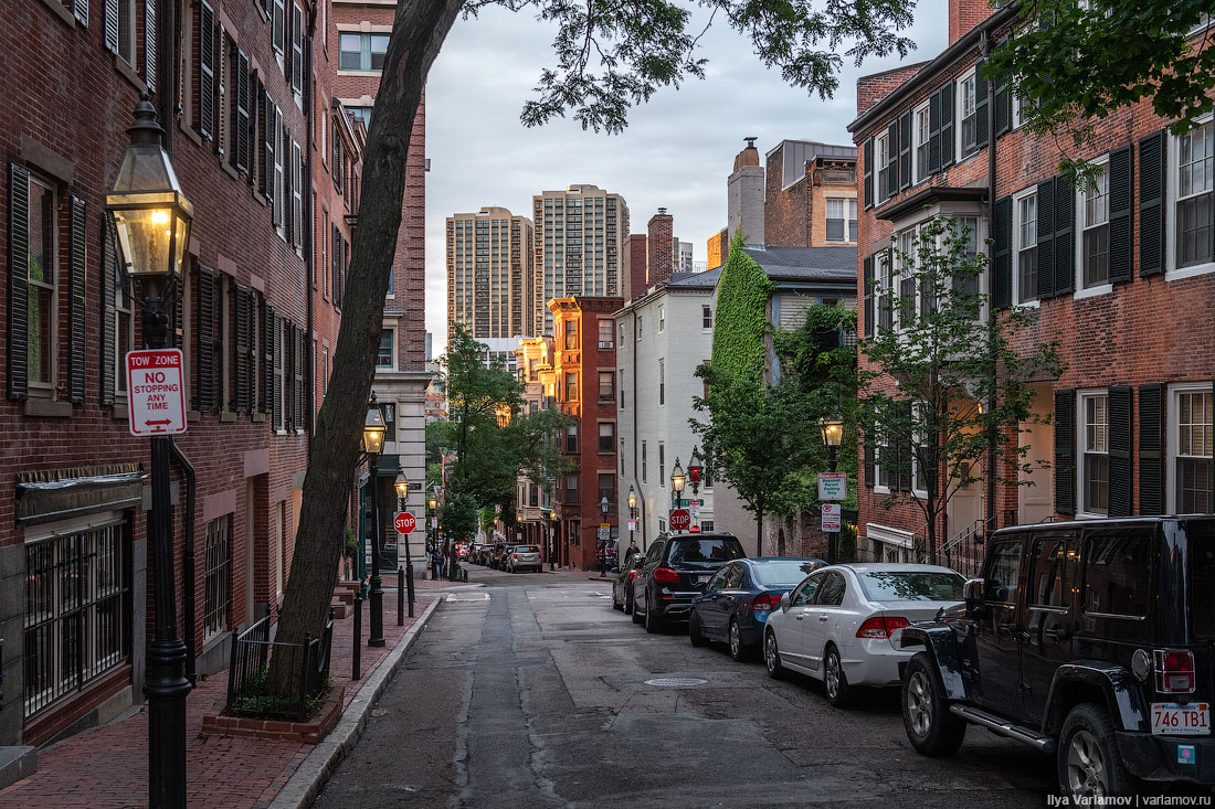 Бостон: город студентов, ирландцев и крыс.