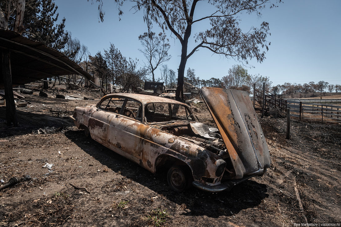 Огненный ад в Австралии: выжженная земля и трупы животных 