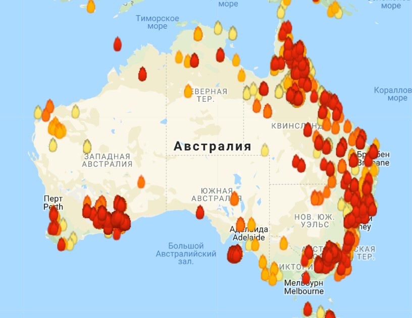 Огненный ад в Австралии: выжженная земля и трупы животных 