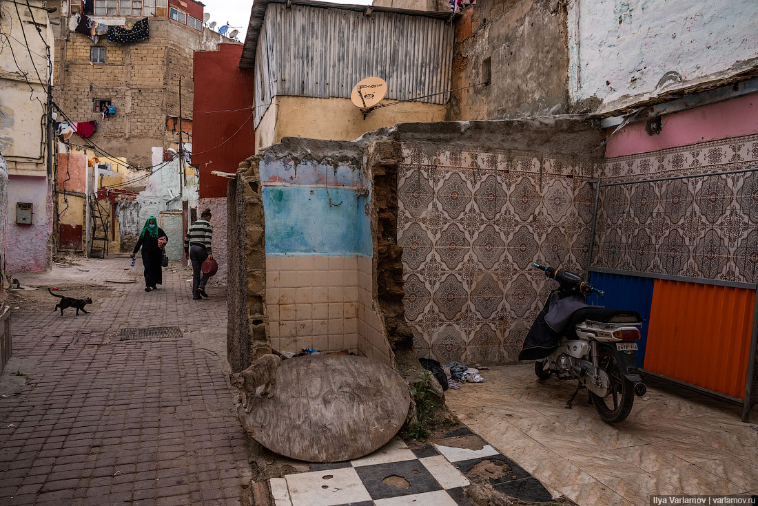 Марокко: открытые границы, крутые трамваи и вкусные лангусты 