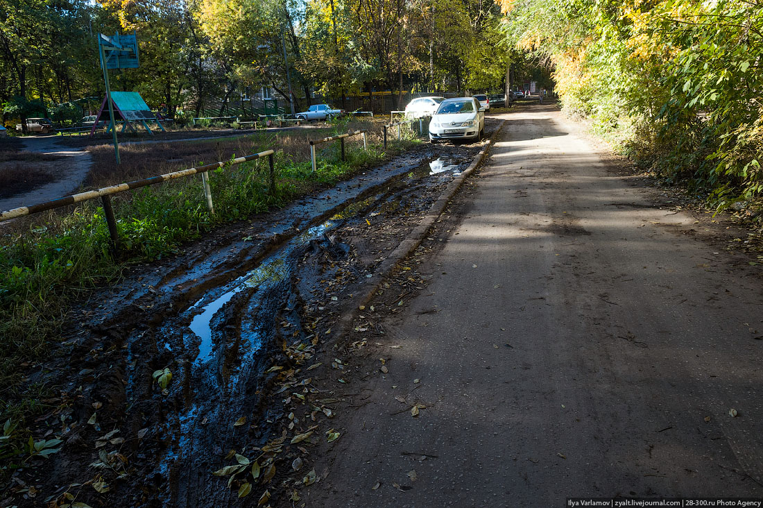 Петербург ради машин избавляется от остатков зелени 