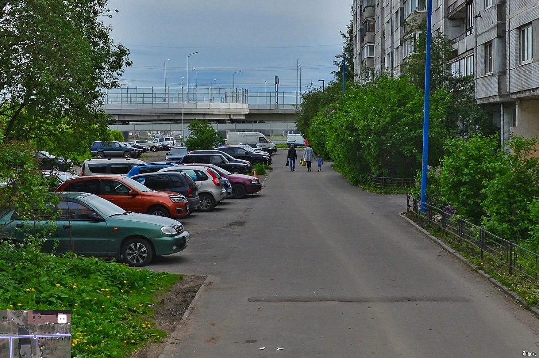 Петербург ради машин избавляется от остатков зелени 