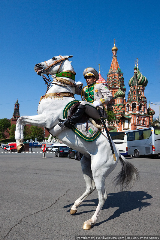 Маи лошадки. Парад Победы лошади. Парад лошадей. Конь на параде. Туркменский конь на параде Победы.