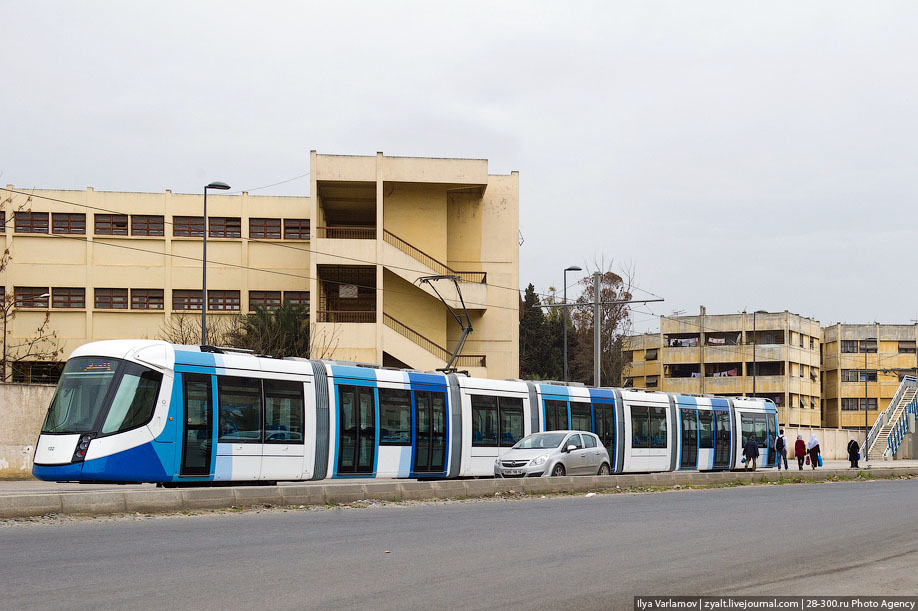 Транспорт алжира