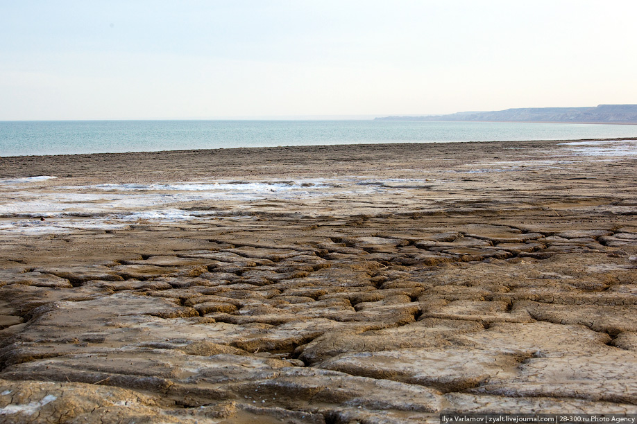 Ул аральская 4. Аральское море фото. Аральское море. Ул Аральская. Аральское море сейчас и в прошлом фото.