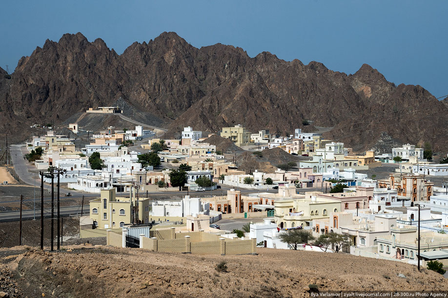 Коло оману. Султанат Оман столица. Маскат столица Омана достопримечательности. Маскат Оман Оазис ущелье. Оман старый город.